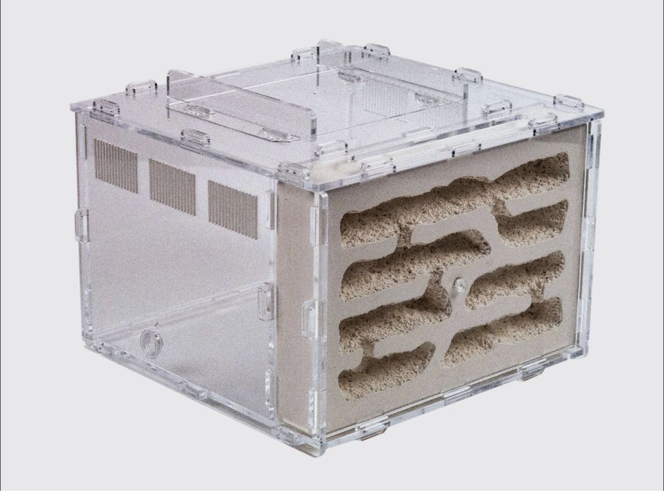 Формикарий Белый дом