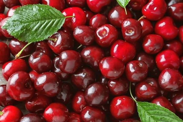 Продам вишню..по предзаказу.