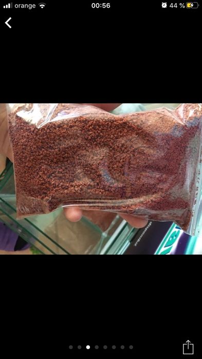 Hrana de calitate cu pigment . Tetra diskus