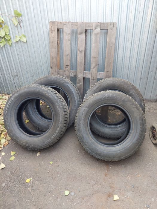 Шины зимние шипованные