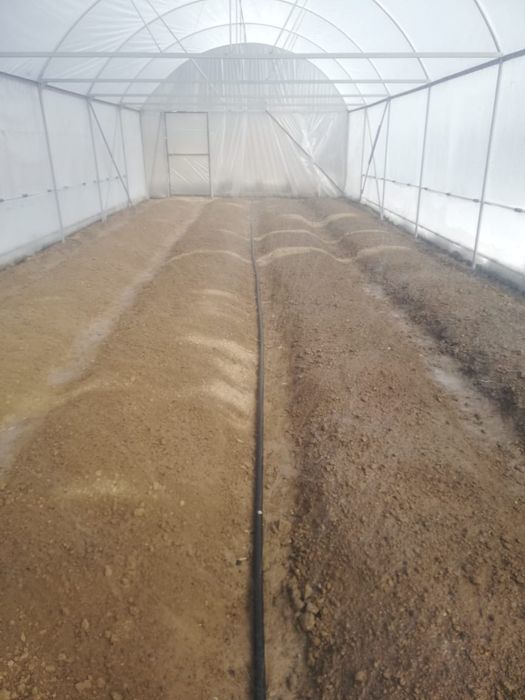 Парник готовый продам