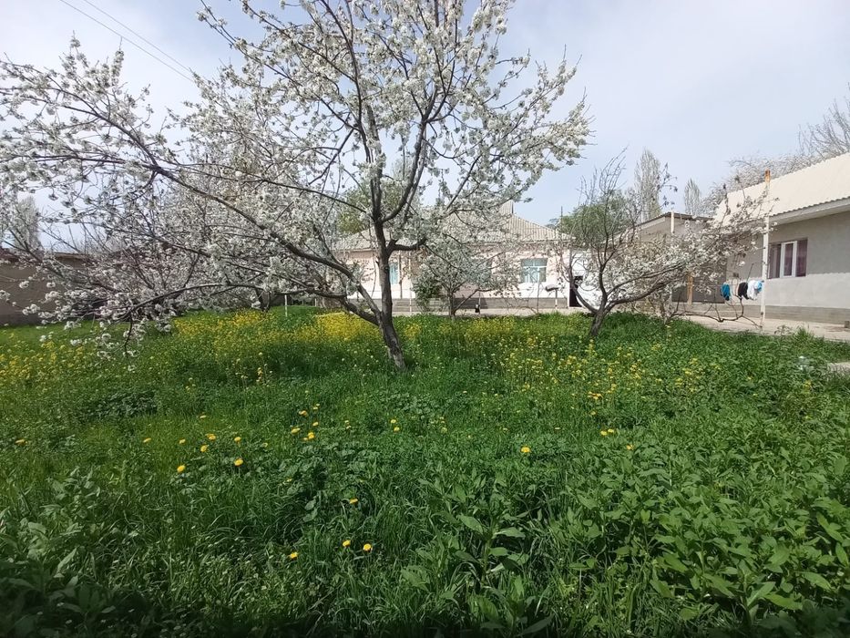 Газалкент Паргоз продаётся участок мебель глам пайдалар била