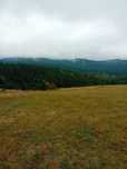 Vand loc Piatra Fantanele 20 de arii
