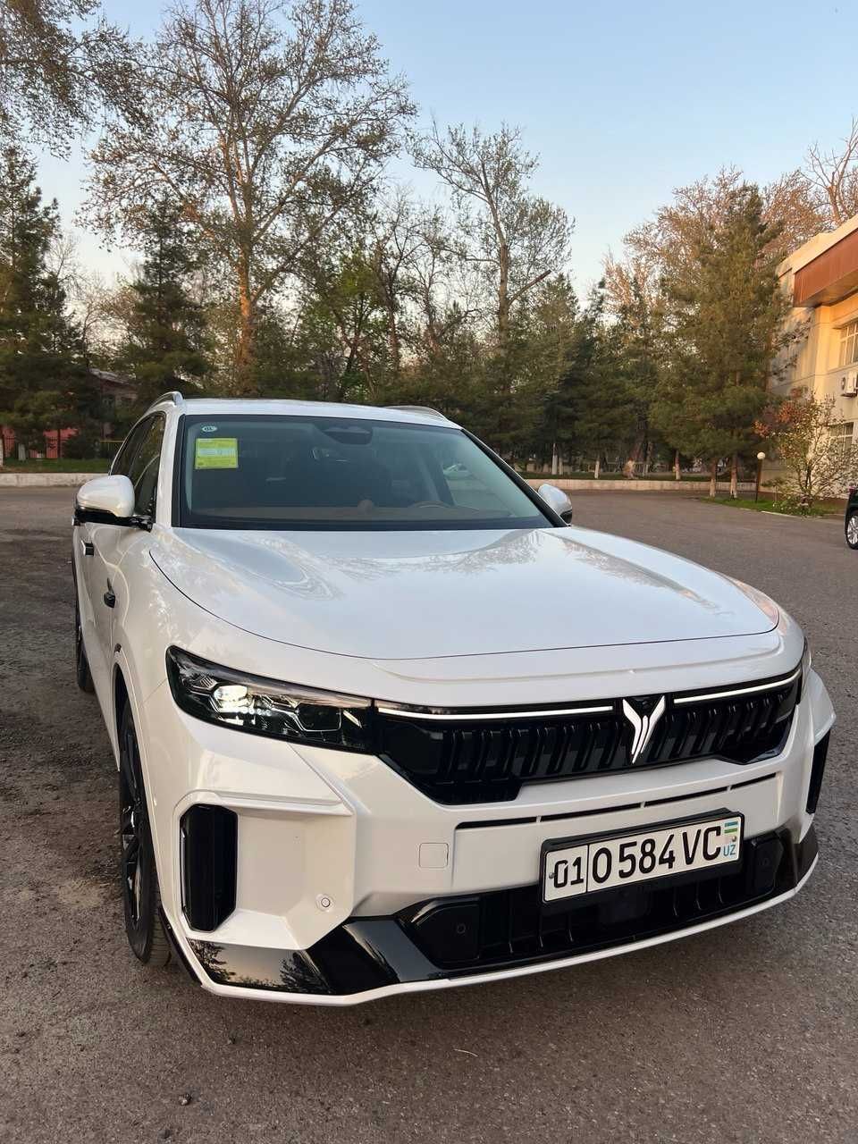 Voyah free apollo tech 2024