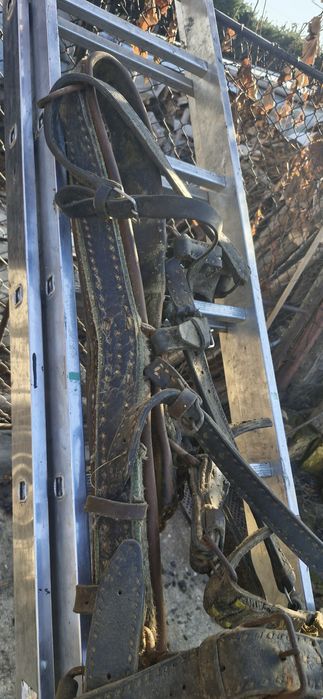 plug, grapa, marcator, prasitoare pentru cal