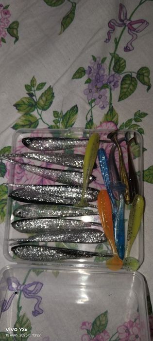 Рыбки серебристые    разноцветные