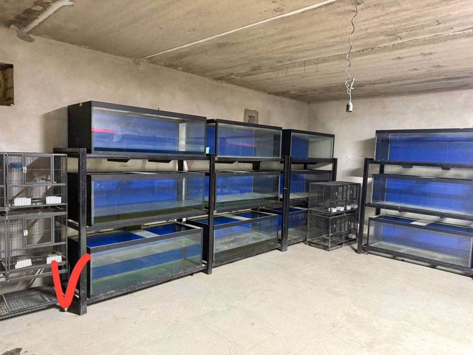 Аквариум и стилажи оптом