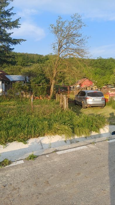 Casa cu teren 1 hectar în sat Roșcani, la 40 km de Iași.