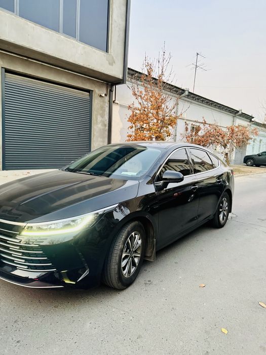 Byd chazor hybrid 2025
