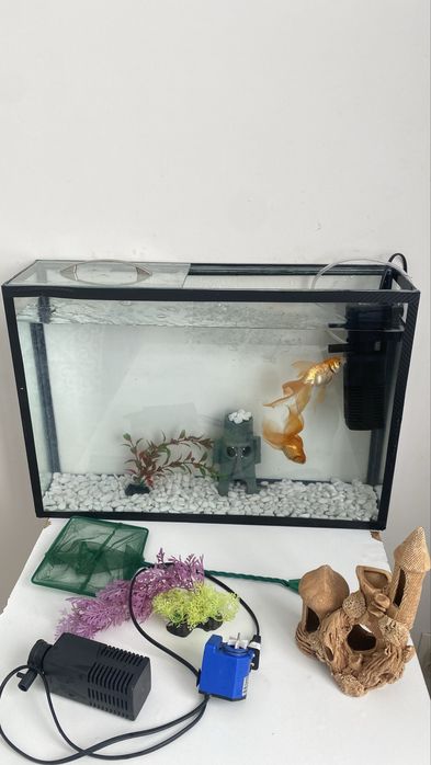 Аквариум 30Л со всей необходимостю