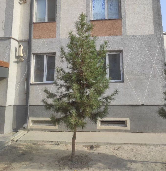 Уй, квартира сотилади .Чуст .