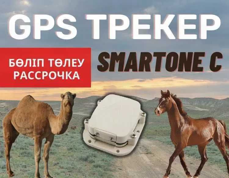 №1 ЖПС/GPS для Лошадей Навигатор Трекер с Доставкой до Караганды!