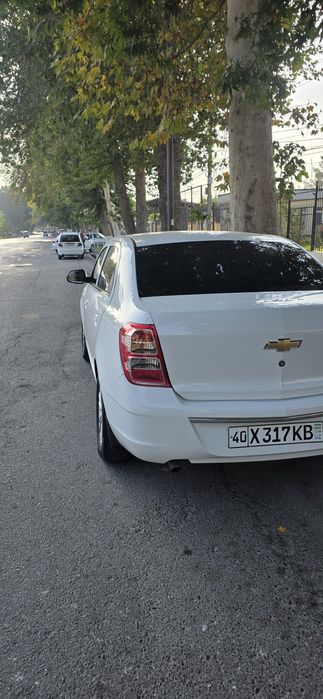 Cobalt 2023 kraska toza