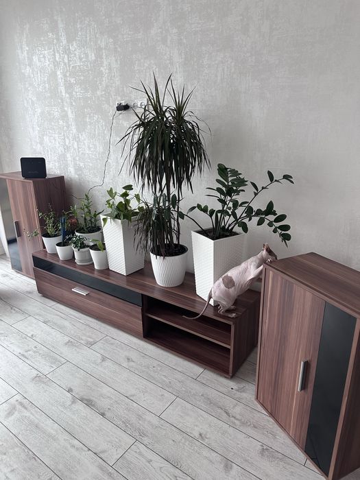 Гостиный шкаф срочно