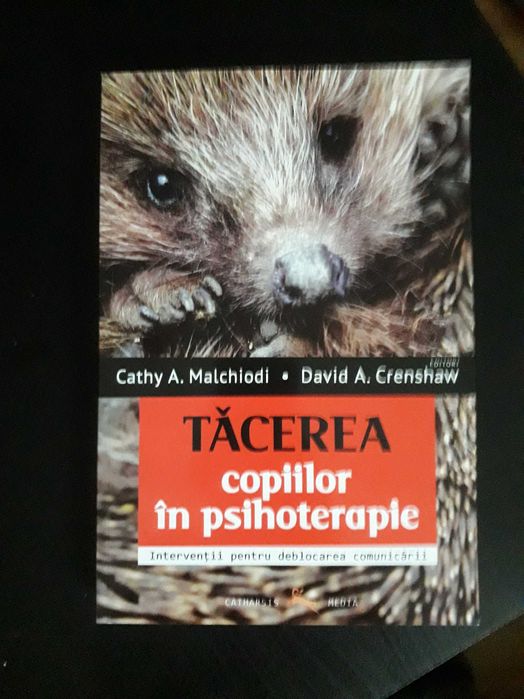 Tăcerea copiilor în psihoterapie (carte)