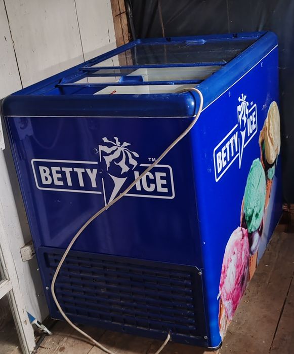 Lada frigorifica înghețată