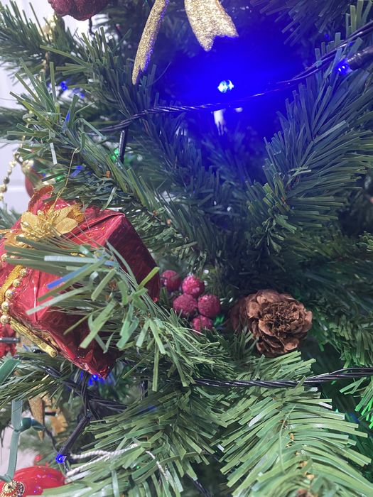 Brad cu conuri si fructe rosii 2,3 m