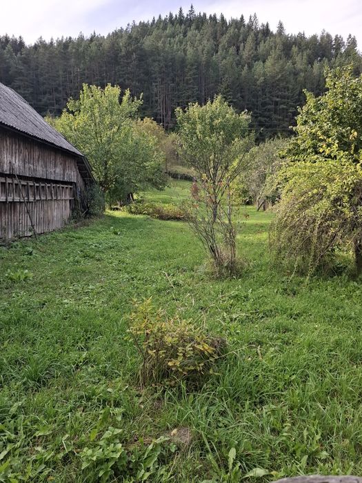 Teren intravilan 2337, utilități, livadă, Grințieș (Neamț) langa Durau
