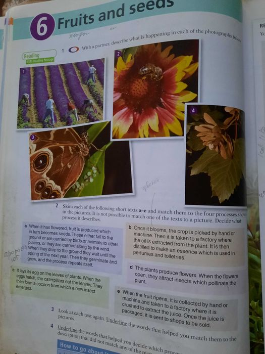 Essential English  . Базовый Английский . Эккерсли . Классика