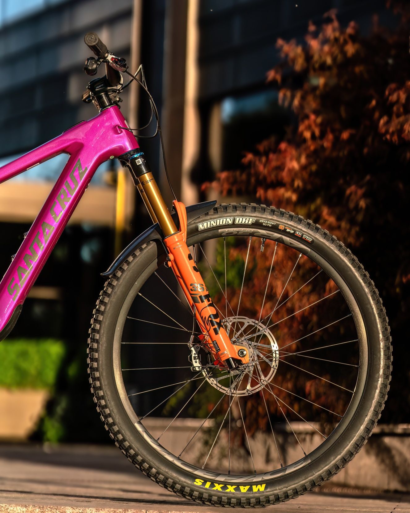 Santa cruz heckler sl c   (L)  Cu Acte.