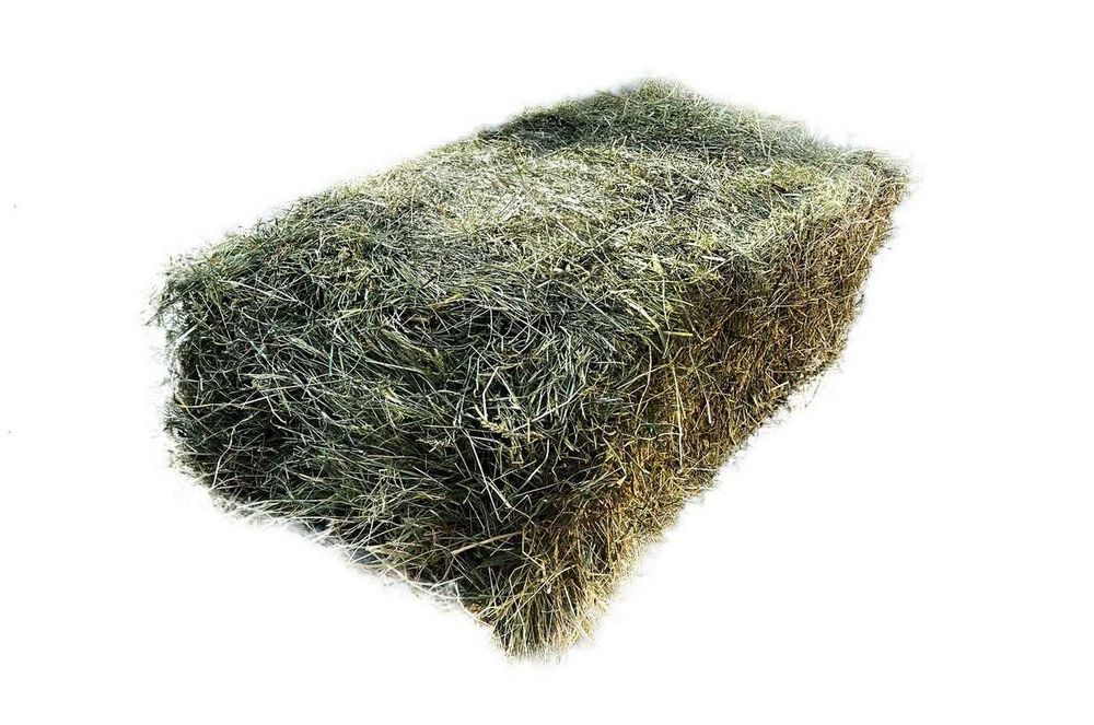 Baloti de fân si lucernā