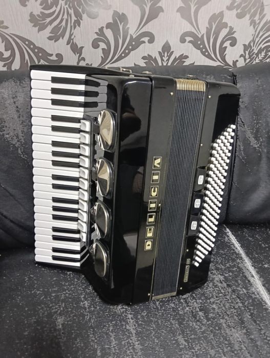 Acordeon delicia