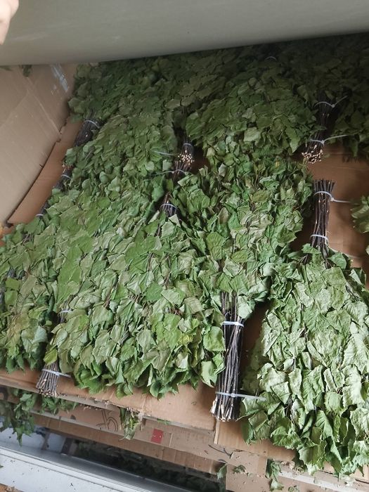 Банные веники березовые Астана коргалжинские дачи рядом ЖК фемида