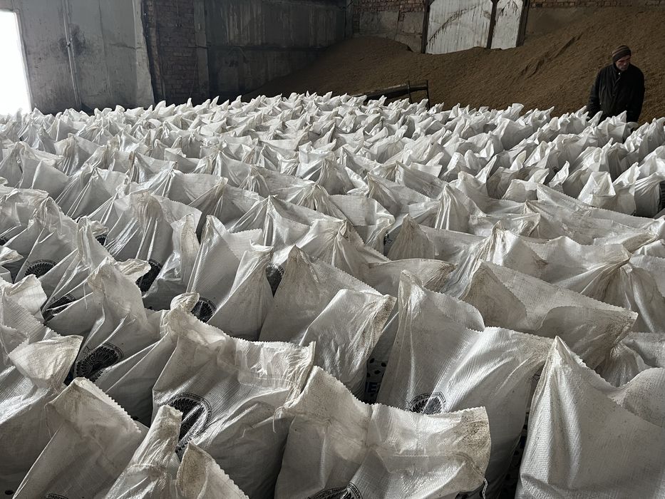 Продам жмых также имеется льняное масло !!!