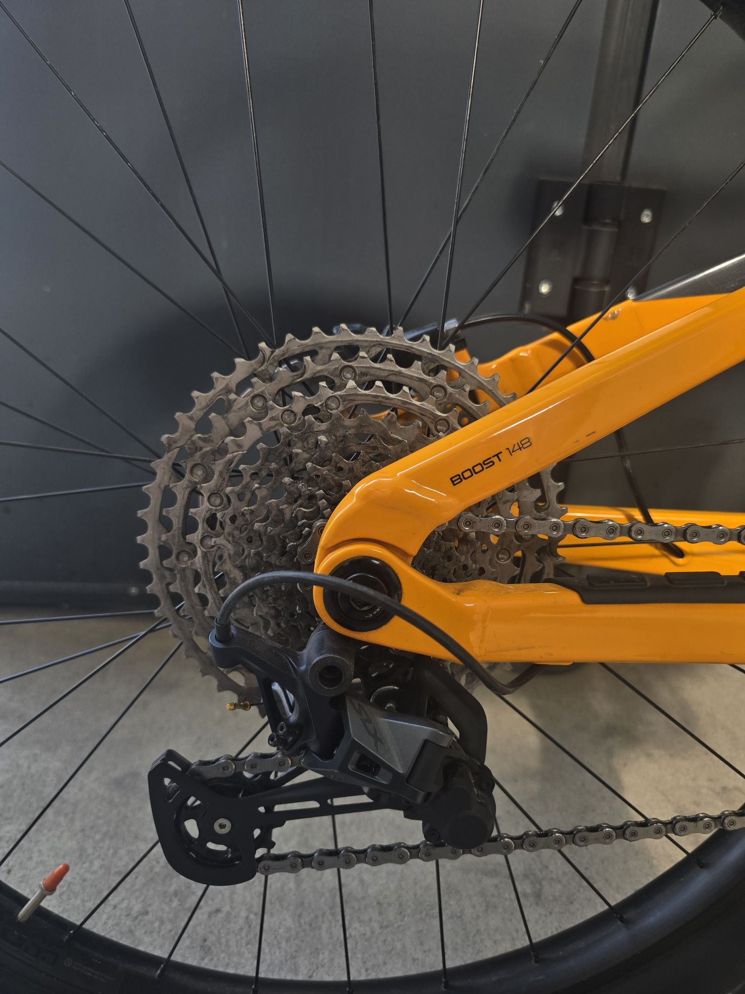 Trek Fuel EX 5 (2023)