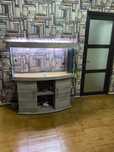 Vand acvariu jewel 300 l