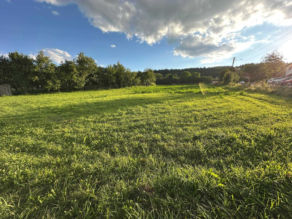 Teren intravilan 950 mp Corușu – panorama spre pădure