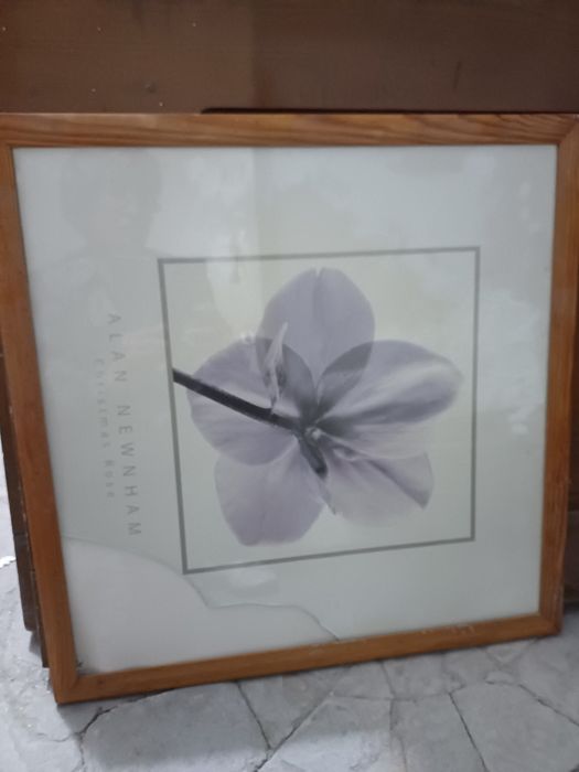 Деревянные картины,украсят загородный дом, баню