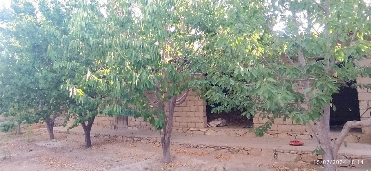 Yer Uchastka sotiladi. Kelishilgan narxda