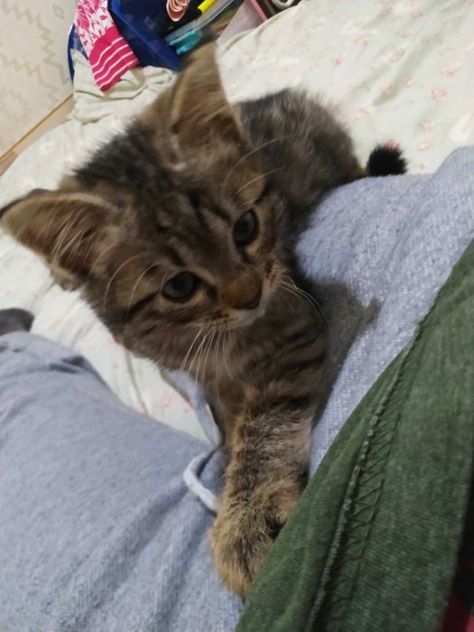 Югай Дилдора йцуке