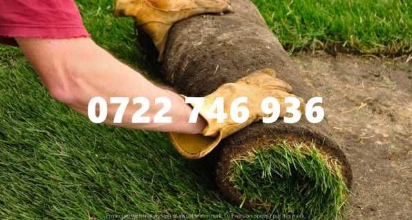 Gazon Rulou , Sisteme de irigare oriunde in Tara Calitate extra