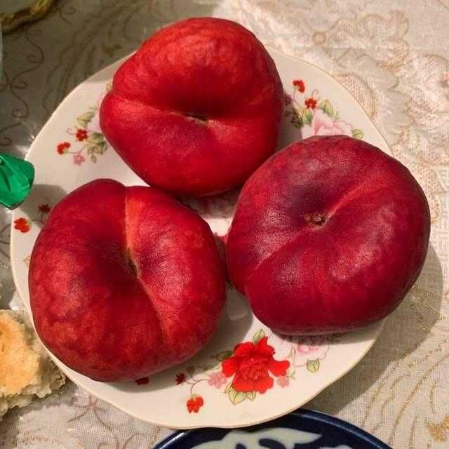 Мевали дарахт кучатлари - Саженцы плодовых деревьев