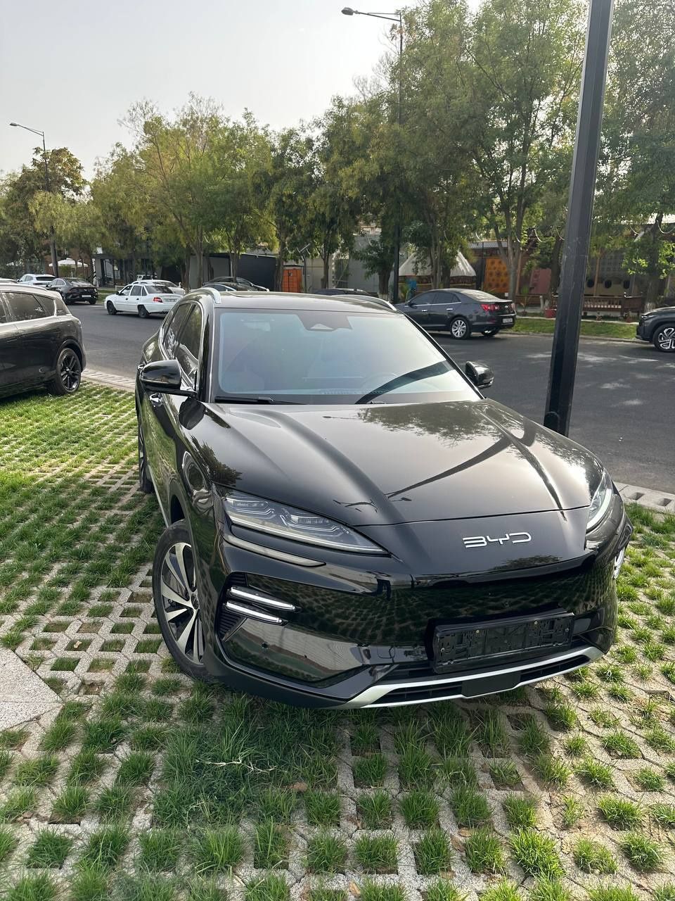 Byd cempion 605 km