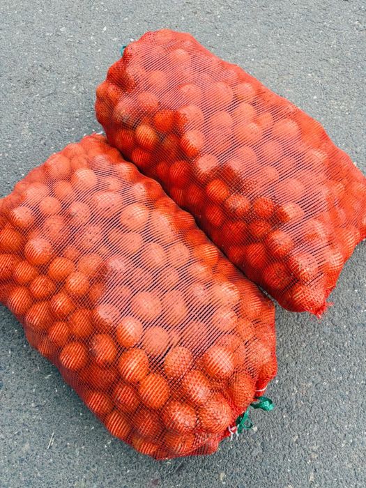 Картошка сорт гала