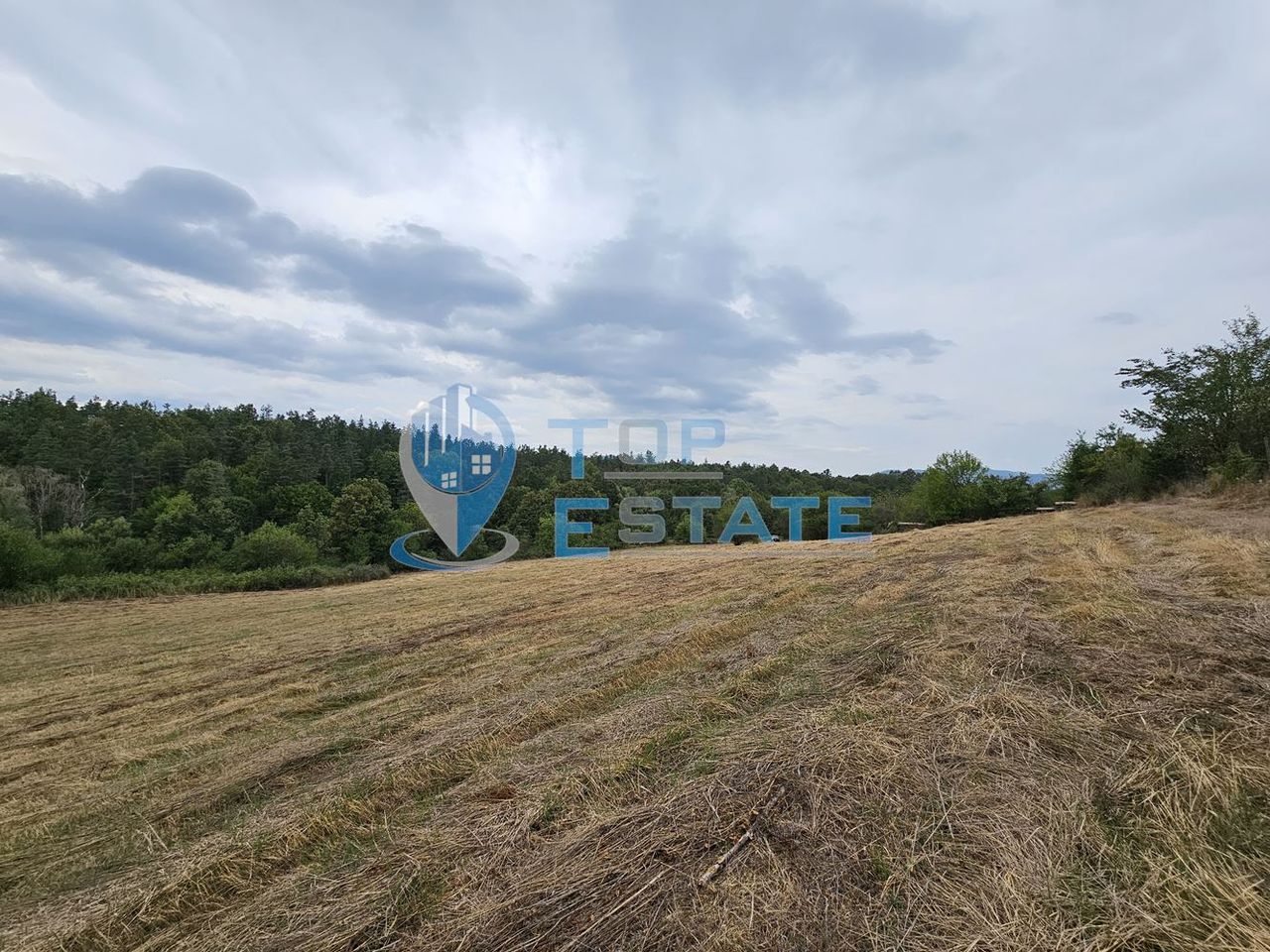 Продава се Парцел в Елена - 14900 кв.м за 3 €/кв.м - Снимка #5