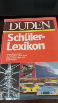 Dictionare, Duden, Lenin, la REDUCERE