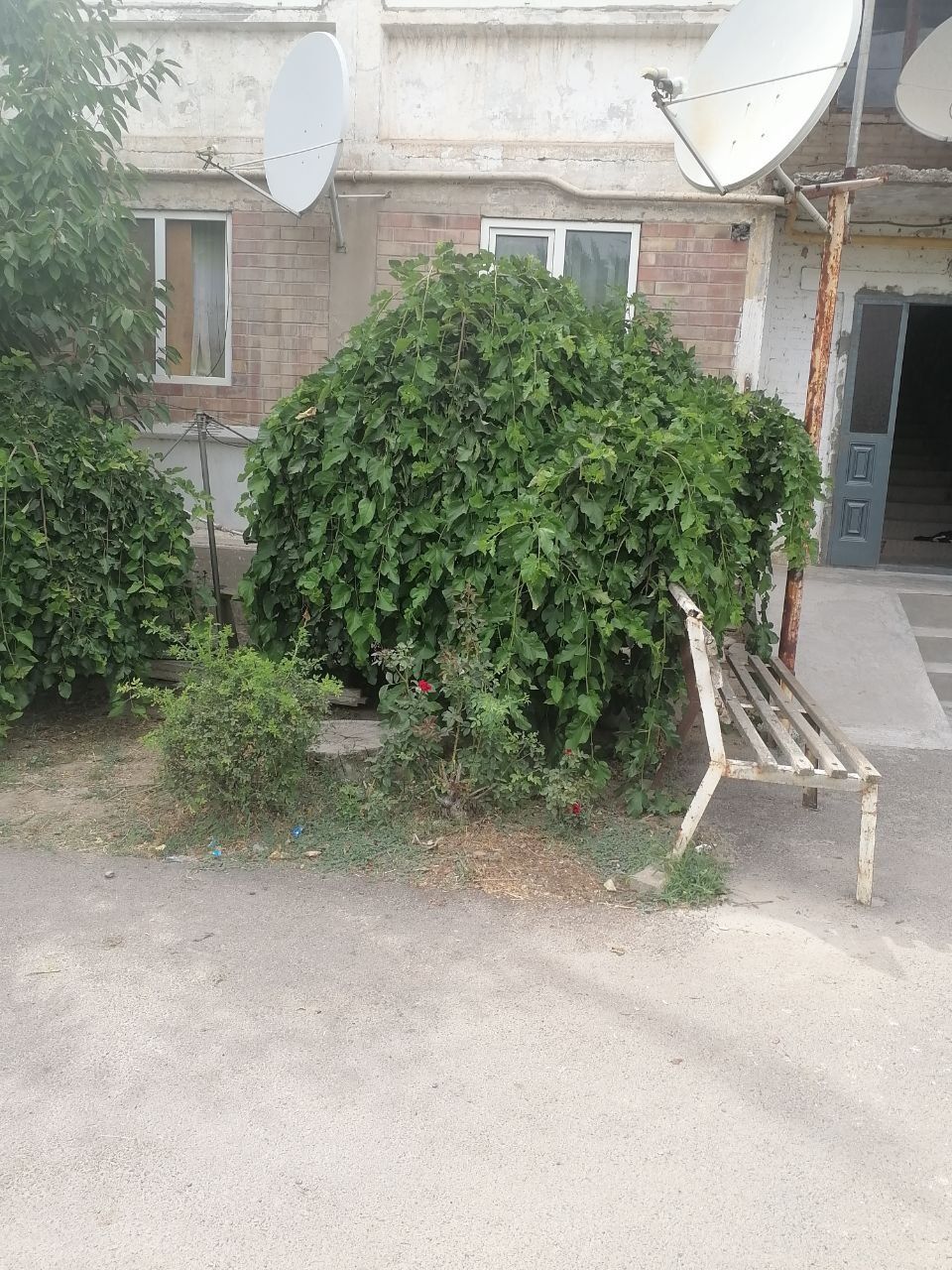 Срочно 3-х комнатную квартиру продам чирчике