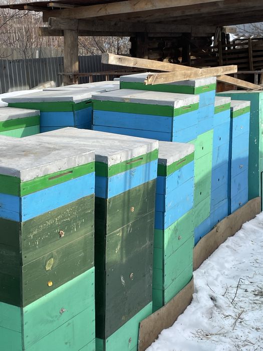 Улья для пчел новые