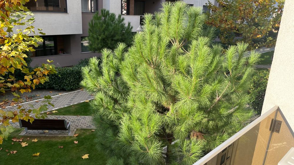 Apartament 1 cameră, complet mobilat , str. Ceyrat - West Residence