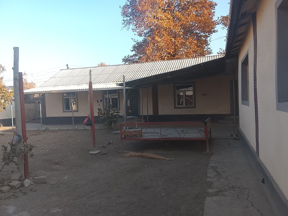 Срочна 8 сотихли ховли сотувга чикти