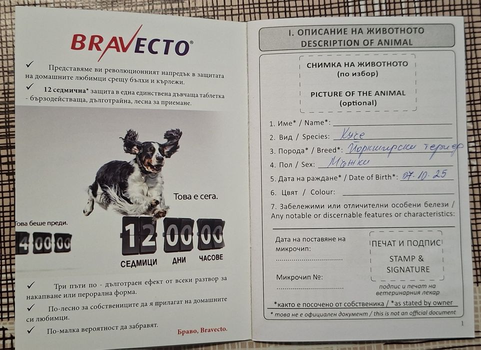 Продавам мини Йорки