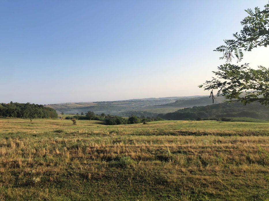 Casa noua la cheie, piscina incalzita, grill, fotovoltaic, Oradea