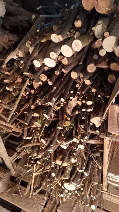 Дрова  разные. Цена договорная