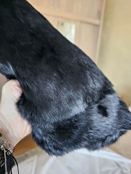 Vand blana naturala iepure