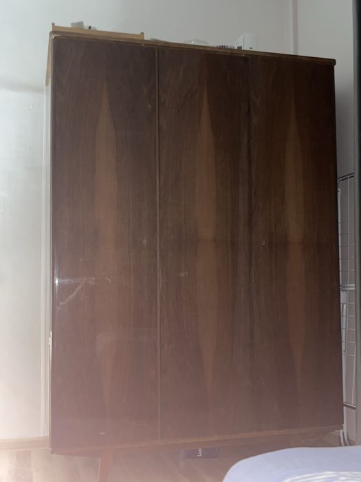 шефанер kiyimlar uchun