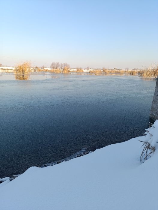 Ташморе, сув буйида 4 гектар